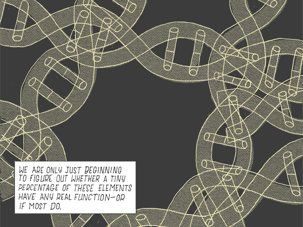 SP14_DMSlide-11