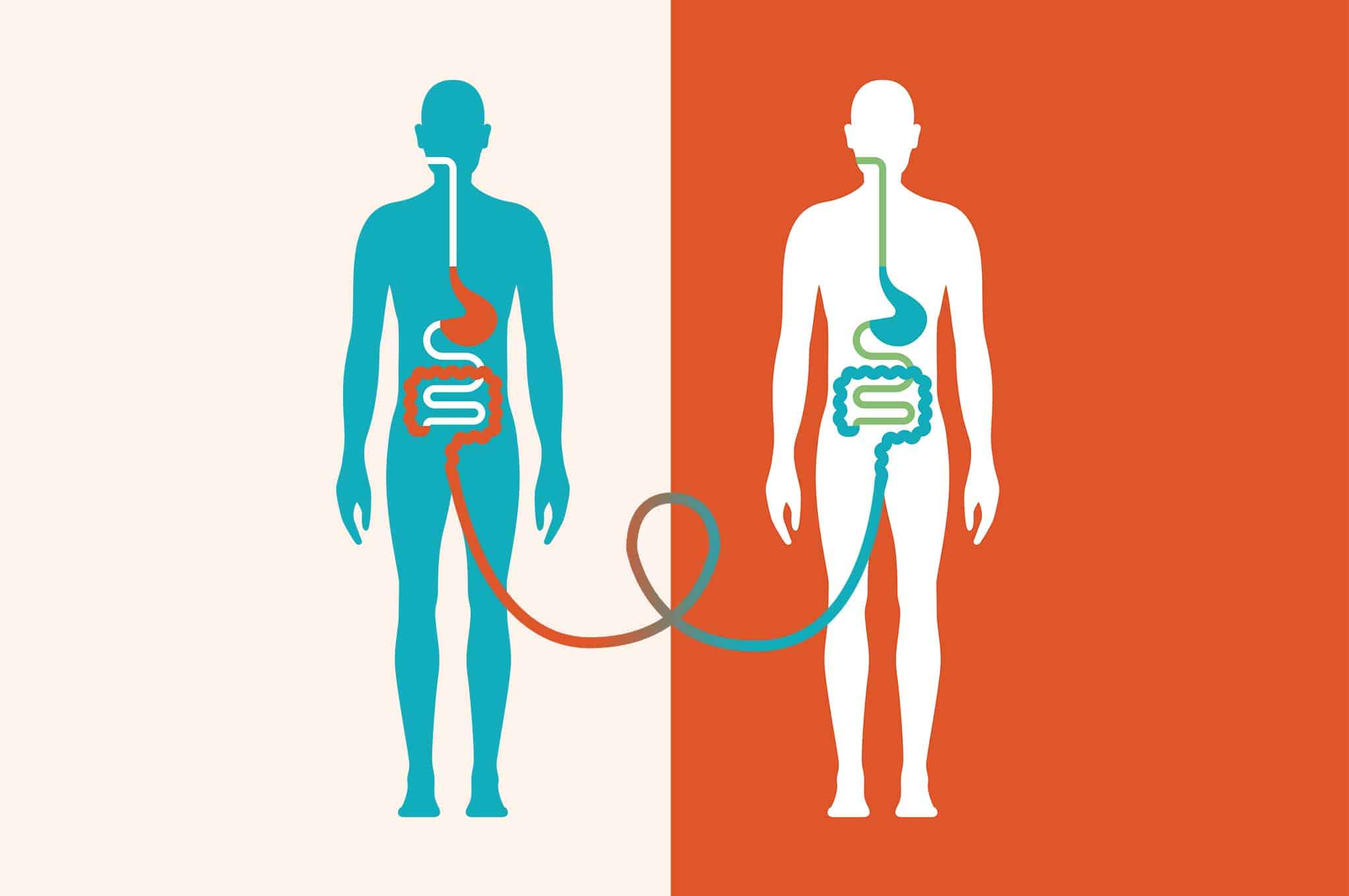 Transitional Feces Bright Future for the Feces Cure - Proto Magazine