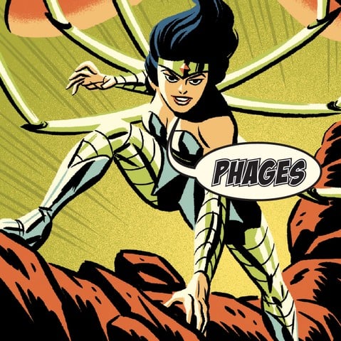 antibiotics_slideshow-06