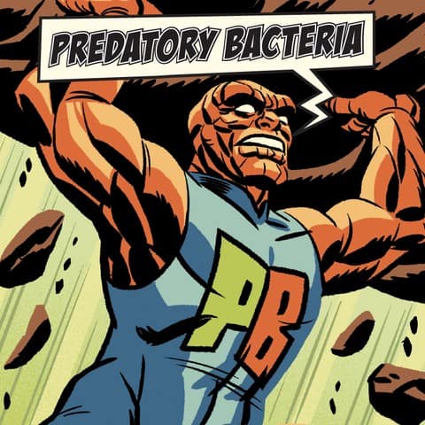 antibiotics_slideshow-08